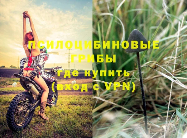 гидра Бронницы