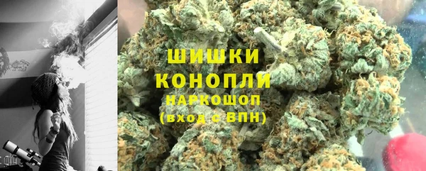 гидра Бронницы