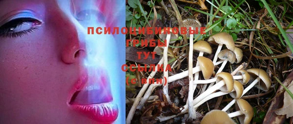 герыч Бугульма